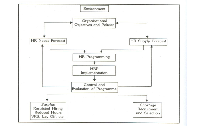  HRP PROCESS