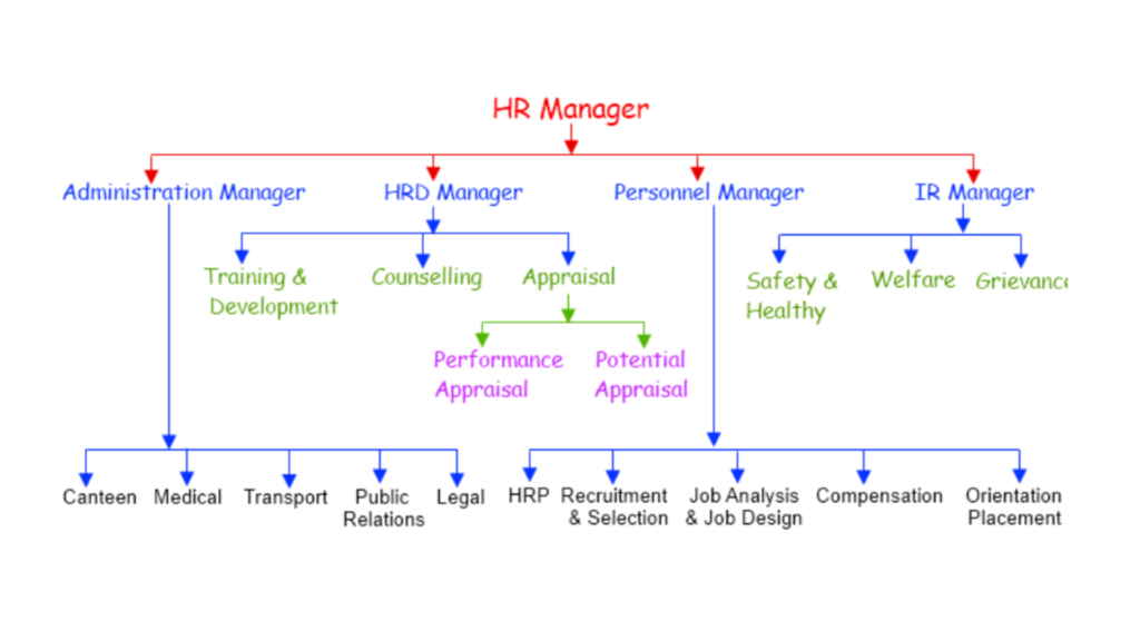 HR Manager