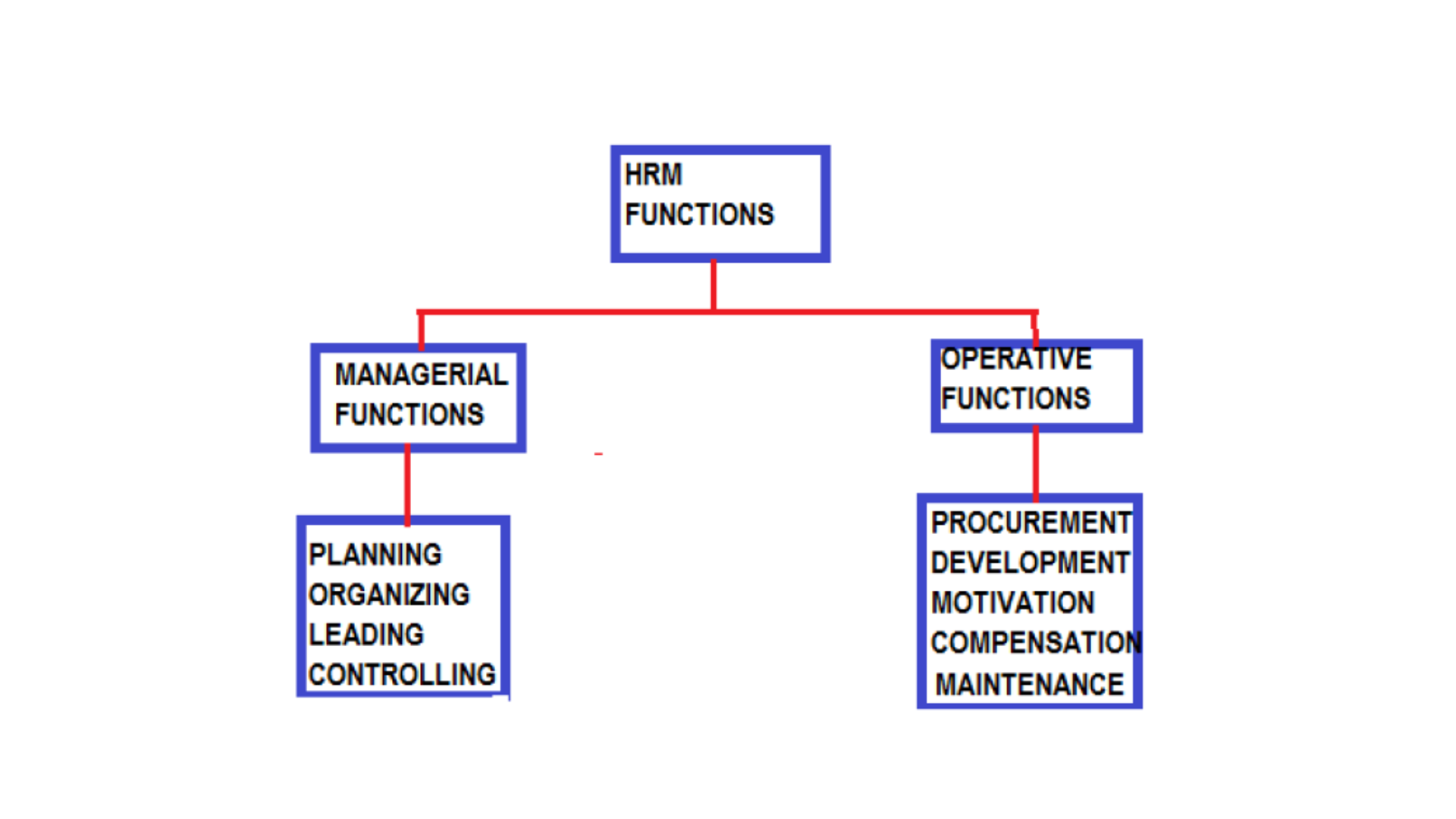 Human Resource Management Functions